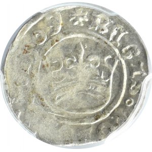 Zygmunt I Stary, półgrosz 1509, Kraków, PCGS AU55