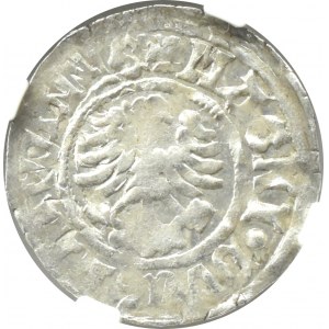 Aleksander I Jagiellończyk, półgrosz litewski, Wilno, NGC AU53