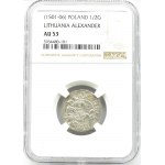 Aleksander I Jagiellończyk, półgrosz litewski, Wilno, NGC AU53