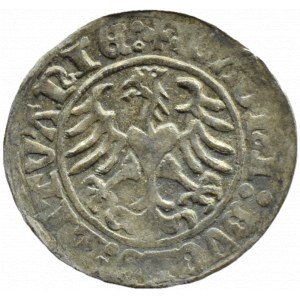 Zygmunt I Stary, półgrosz 1510, Wilno