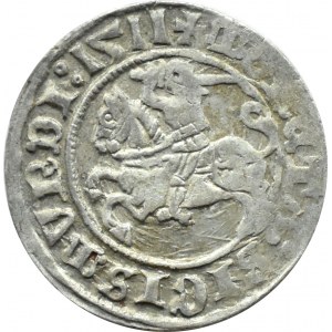 Zygmunt I Stary, półgrosz 1511, Wilno