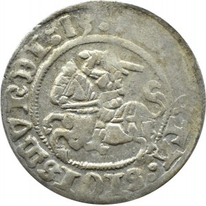 Zygmunt I Stary, półgrosz 1513, Wilno
