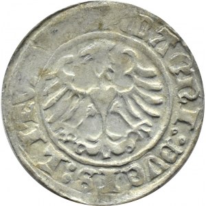 Zygmunt I Stary, półgrosz 1513, Wilno