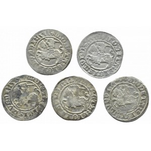 Zygmunt I Stary, lot półgroszy 1509-1514, Wilno (3)
