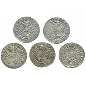 Zygmunt I Stary, lot półgroszy 1509-1514, Wilno (3)