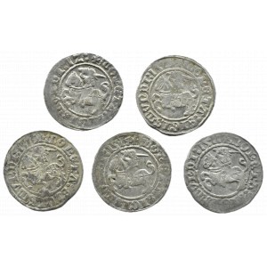 Zygmunt I Stary, lot półgroszy 1509-1514, Wilno (2)