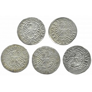 Zygmunt I Stary, lot półgroszy 1509-1514, Wilno (2)