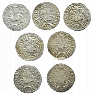 Zygmunt I Stary, lot półgroszy 1509-1512, Wilno (1)