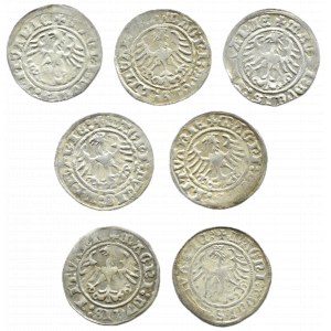 Zygmunt I Stary, lot półgroszy 1509-1512, Wilno (1)