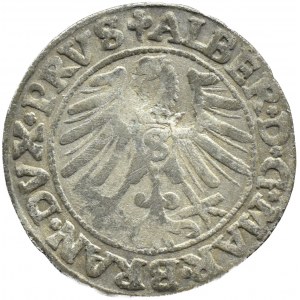 Prusy Książęce, Albrecht, grosz pruski 1546, Królewiec, rzadszy rocznik