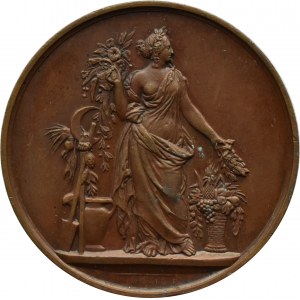 Francja, Republika, medal 1863, Wystawa Rolnicza w Laval, FT. Barre