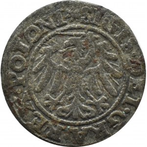 Zygmunt I Stary, szeląg 1546, Gdańsk