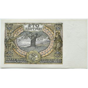 II RP, 100 złotych 1934, seria AV., dodatkowy znak wodny +X+, UNC