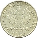 II RP, Żaglówka, 2 złote 1936, Warszawa, PIĘKNE (5)