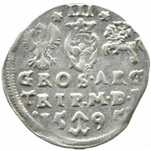 Zygmunt III Waza, trojak 1595, Wilno, CHALECKI