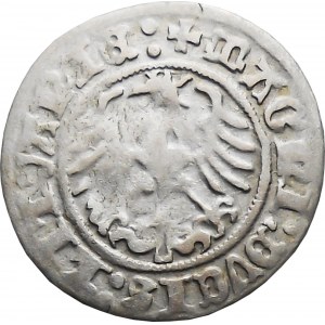 Zygmunt I Stary, półgrosz 1512, Wilno RZADKI