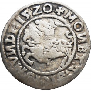 Zygmunt I Stary, półgrosz 1520, Wilno RZADKI
