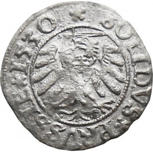Zygmunt I Stary, szeląg 1530, Toruń Rzadki
