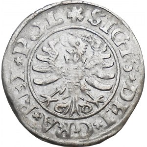 Zygmunt I Stary, szeląg 1530, Gdańsk