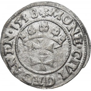 Zygmunt I Stary, szeląg 1538, Gdańsk