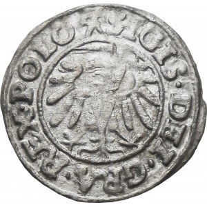 Zygmunt I Stary, szeląg 1538, Gdańsk