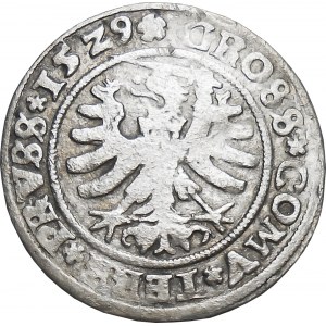 Zygmunt I Stary, grosz 1529, Toruń ILUSTROWANY