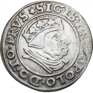 Zygmunt I Stary, grosz 1539, Gdańsk Piękny