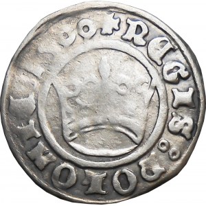 Zygmunt I Stary, półgrosz 1500(1599), Kraków BARDZO RZADKI