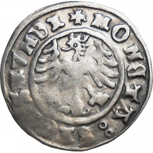 Zygmunt I Stary, półgrosz 1500(1599), Kraków BARDZO RZADKI