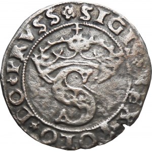 Zygmunt I Stary, szeląg 1528, Toruń