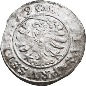 Zygmunt I Stary, szeląg 1529, Toruń