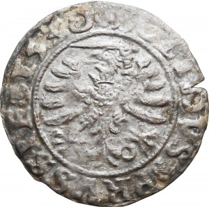 Zygmunt I Stary, szeląg 1530, Toruń