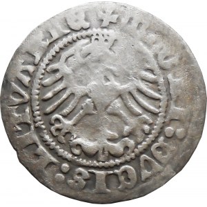Zygmunt I Stary, półgrosz 1513, Wilno