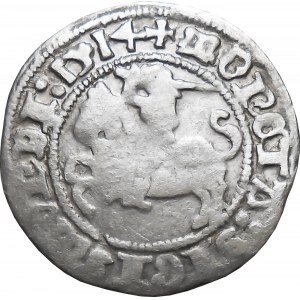 Zygmunt I Stary, półgrosz 1514, Wilno
