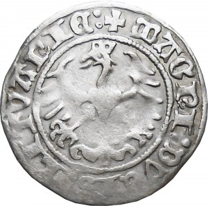 Zygmunt I Stary, półgrosz 1514, Wilno