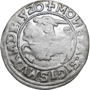 Zygmunt I Stary, półgrosz 1520, Wilno SIGISMVANDI