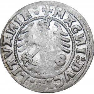 Zygmunt I Stary, półgrosz 1520, Wilno SIGISMVANDI