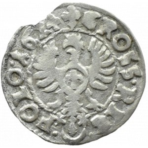 Zygmunt III Waza, grosz 1624, Bydgoszcz