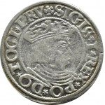 Zygmunt I Stary, grosz 1534, Gdańsk PRV