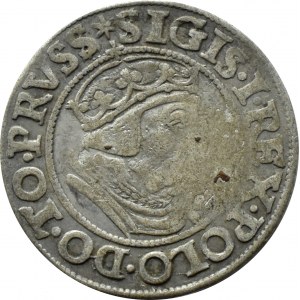Zygmunt I Stary, grosz 1538, Gdańsk PRVSS