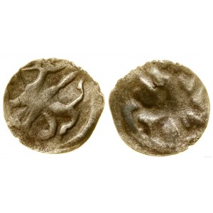 Pomorze Zachodnie, denar jednostronny, XIV/XV w.