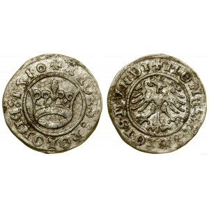 Polska, szeląg, 1510, Kraków