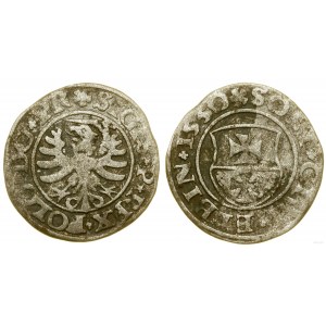 Polska, szeląg, 1530, Elbląg