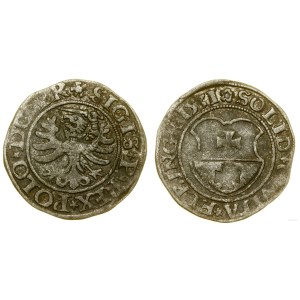 Polska, szeląg, 1531, Elbląg