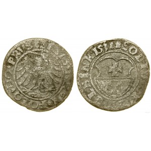 Polska, szeląg, 1531, Elbląg