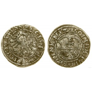 Polska, szeląg, 1532, Elbląg
