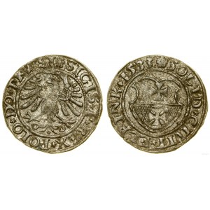Polska, szeląg, 1533, Elbląg