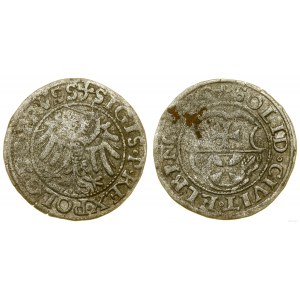 Polska, szeląg, 1539, Elbląg