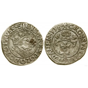 Polska, grosz, 1538, Gdańsk