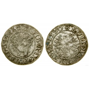 Polska, szeląg, 1530, Toruń